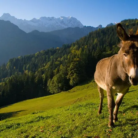Turisticna Kmetija Perk * סולצאבה