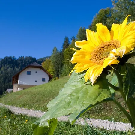 Bauernhof Turisticna Kmetija Perk