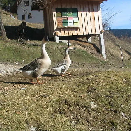 Turisticna Kmetija Perk Solcava