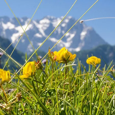 Turisticna Kmetija Perk Bauernhof *