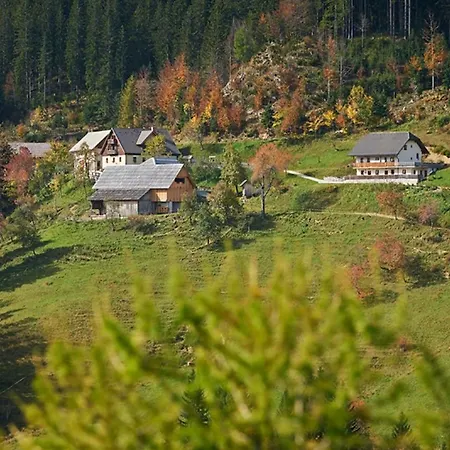 Farm stay Turisticna Kmetija Perk Solcava