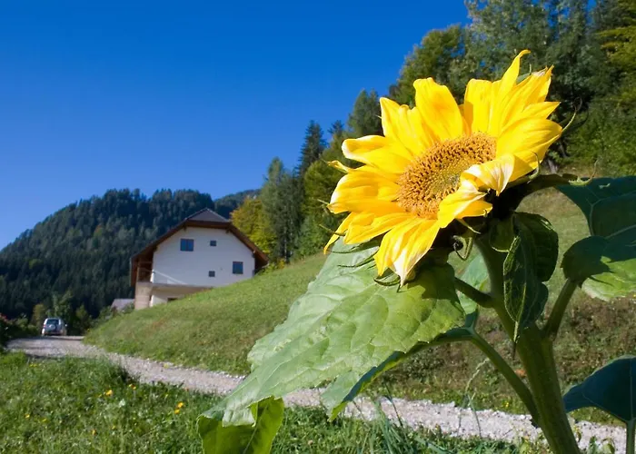 Farma Turisticna Kmetija Perk