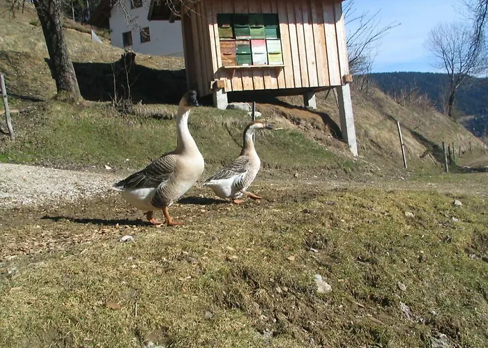 Turisticna Kmetija Perk Solčava