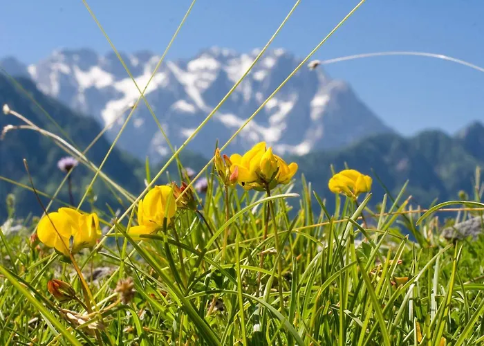 Turisticna Kmetija Perk Farma *