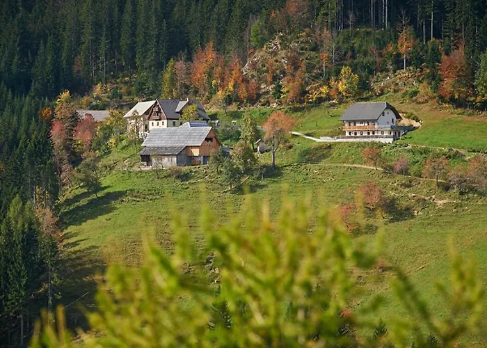 Farma Turisticna Kmetija Perk Solčava