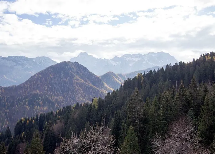 Turisticna Kmetija Perk Solčava